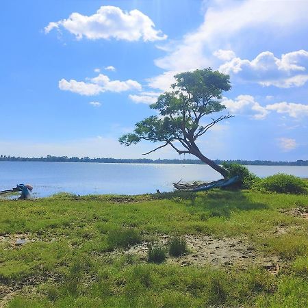 Lake Scape Yala Safari Inn Тиссамахарама Экстерьер фото