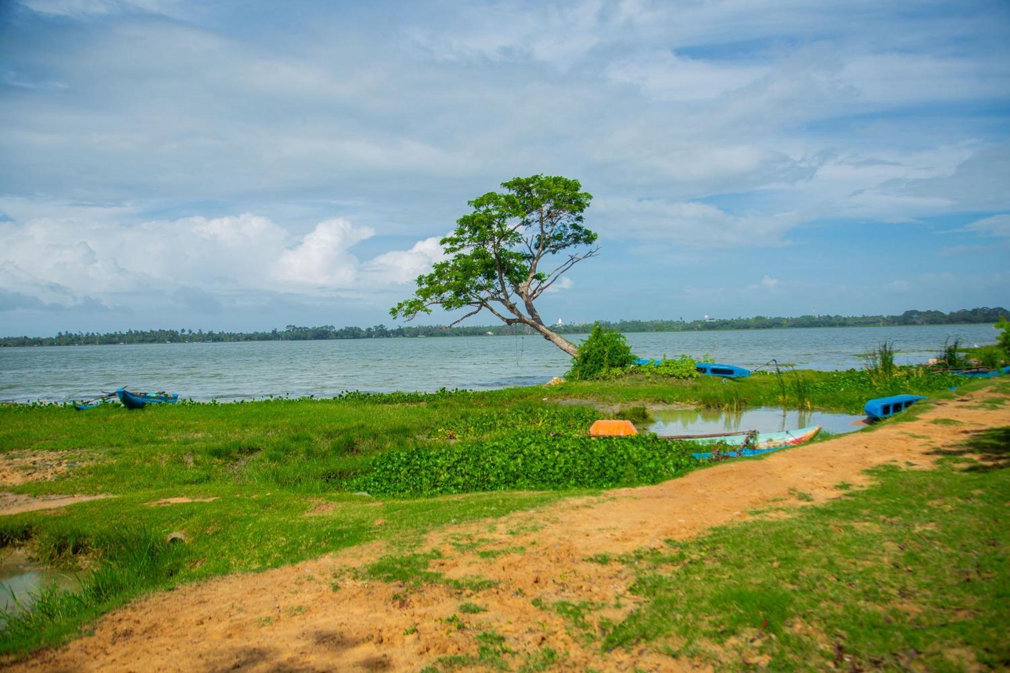 Lake Scape Yala Safari Inn Тиссамахарама Экстерьер фото