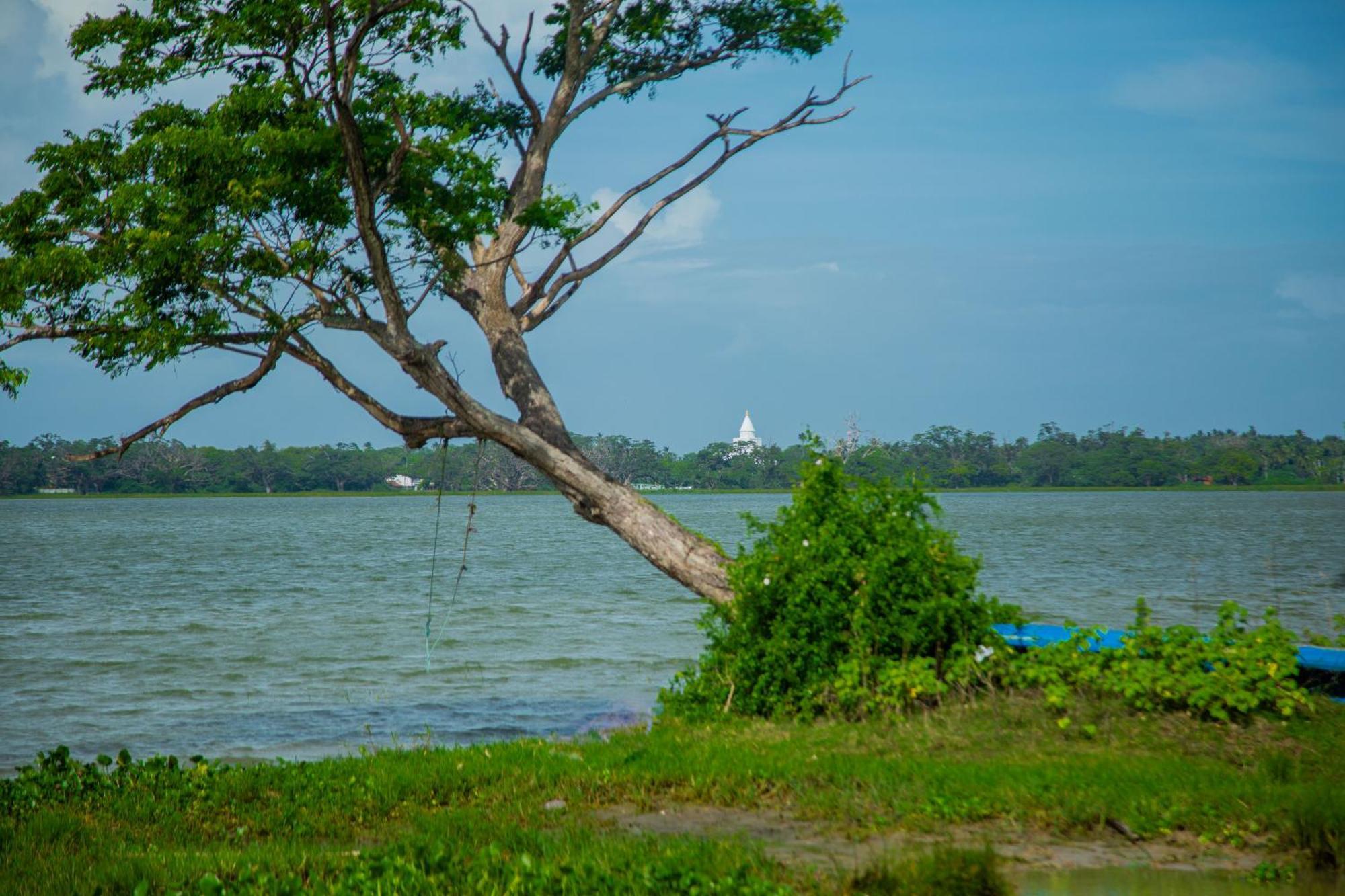 Lake Scape Yala Safari Inn Тиссамахарама Экстерьер фото