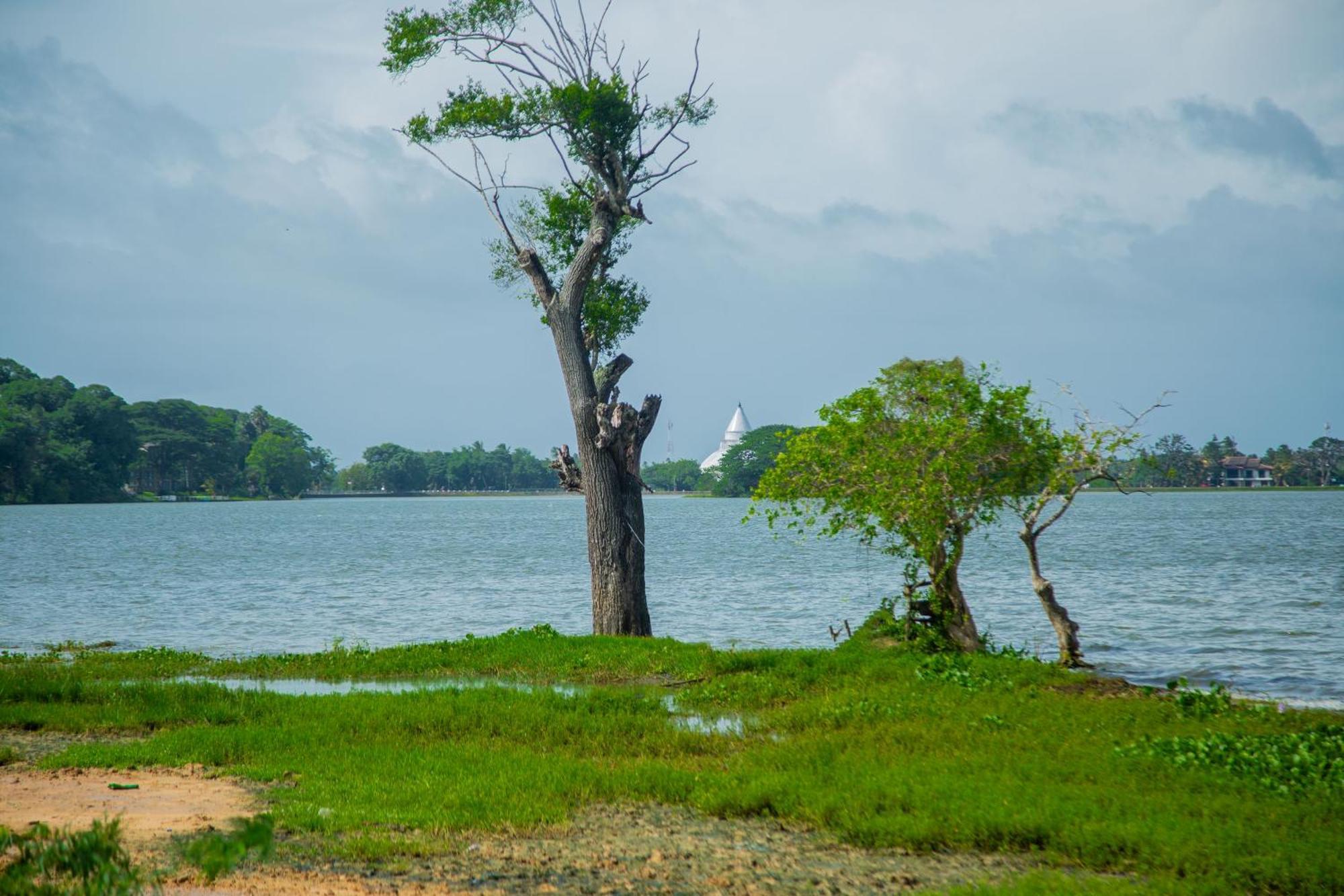 Lake Scape Yala Safari Inn Тиссамахарама Экстерьер фото