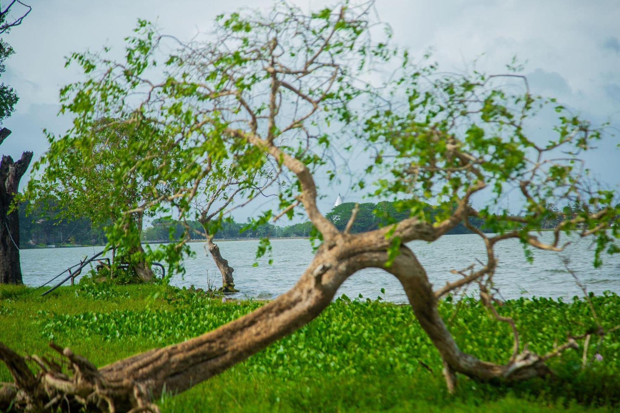 Lake Scape Yala Safari Inn Тиссамахарама Экстерьер фото